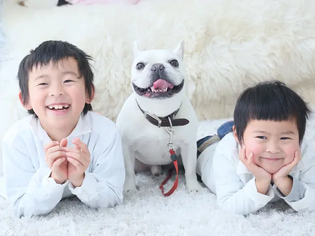 家族写真・卒業式・入学式撮影・成人式前撮り＆後撮り 出張ロケ撮影承ります！