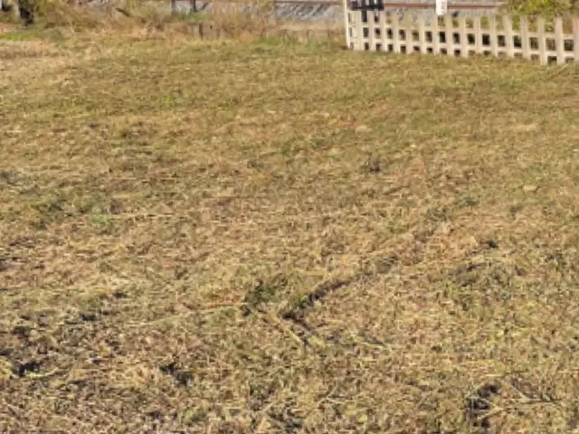 ◆カード決済OK◆大切なお庭をキレイにします◆技能講習、多数の私にお任せ下さいサービスの画像