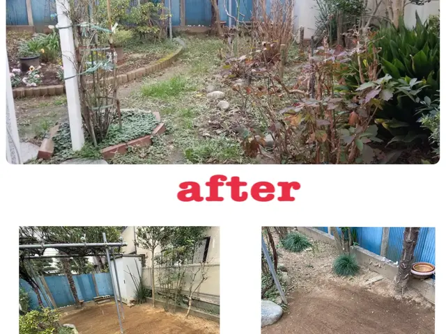 ◆カード決済OK◆大切なお庭をキレイにします◆技能講習、多数の私にお任せ下さいサービスの画像