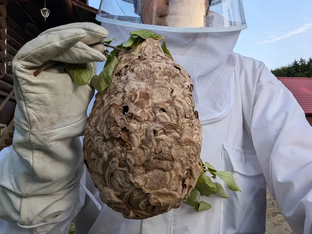 即日対応します！当日駆除率98％達成、お問合せメッセージで訪問日決定致しますサービスの画像