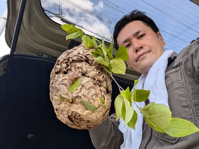 即日対応します！当日駆除率98％達成、お問合せメッセージで訪問日決定致しますサービスの画像