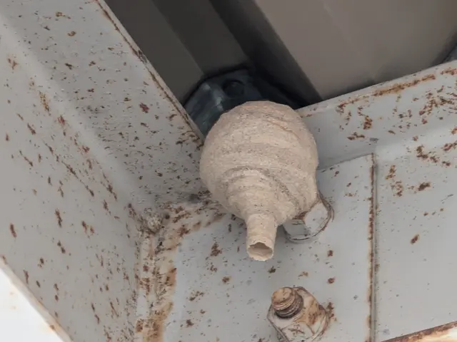 即日対応します！当日駆除率98％達成、お問合せメッセージで訪問日決定致しますサービスの画像