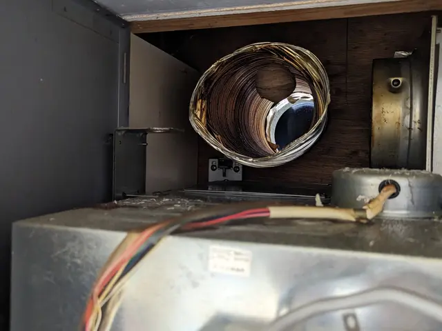 即日対応します！当日駆除率98％達成、お問合せメッセージで訪問日決定致しますサービスの画像