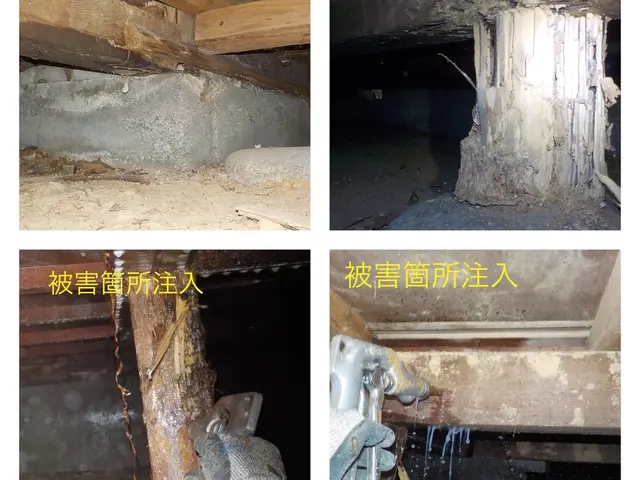 《害虫部門・２年連続入選》★5年保証・報告書付★認定薬剤★白蟻資格有★無料点検サービスの画像