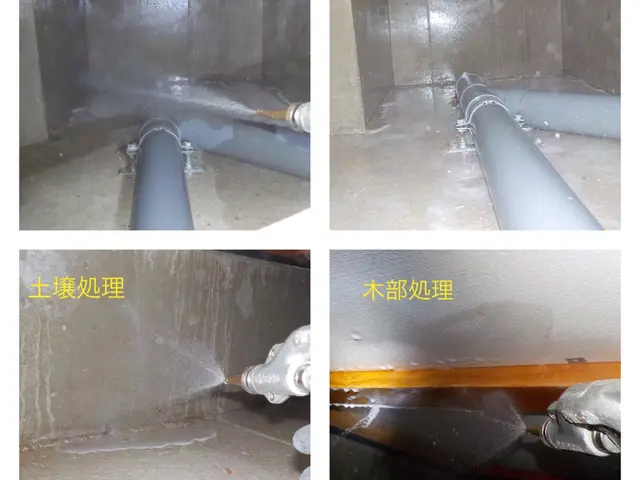 《害虫部門・２年連続入選》★5年保証・報告書付★認定薬剤★白蟻資格有★無料点検サービスの画像