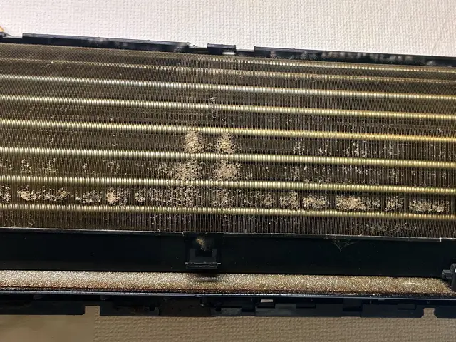 8年の実績！女性店長による、一人暮らしや女性も安心のエアコンクリーニング◎サービスの画像