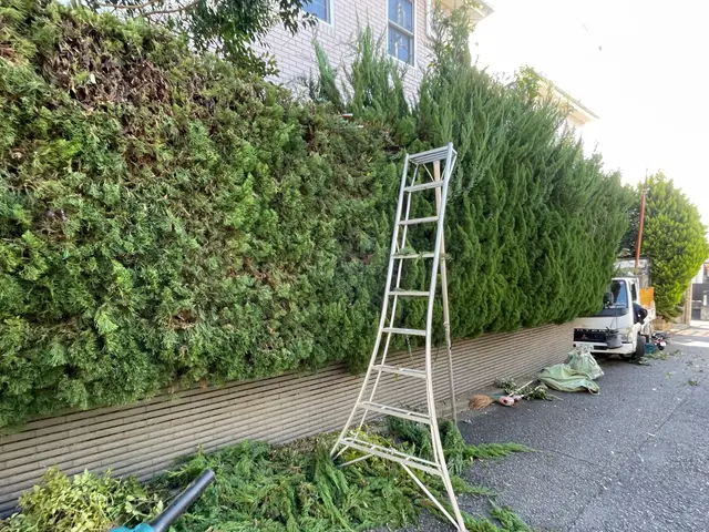 お客様のお力になります！経験と知識を活かして迅速丁寧に作業いたします！サービスの画像