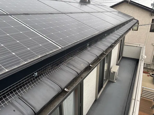 鳩駆除なら任せんしゃい！経験と知識を活かして迅速丁寧に作業いたしますサービスの画像