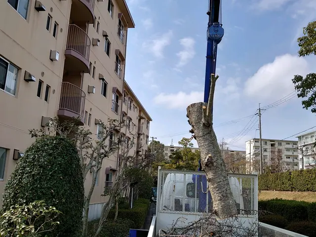 ＜１級造園技能士＞損害保険加入済み！対応地域外もご相談可能！女性スタッフ同行可◎サービスの画像