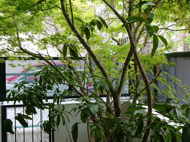 ＜１級造園技能士＞損害保険加入済み！対応地域外もご相談可能！女性スタッフ同行可◎サービスの画像