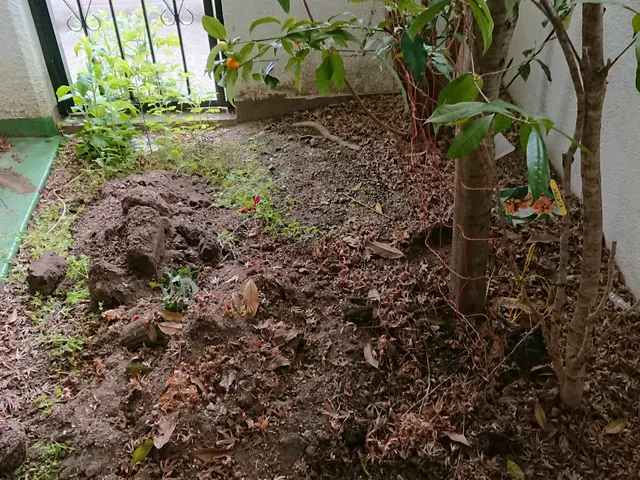 ＜１級造園技能士＞損害保険加入済み！対応地域外もご相談可能！女性スタッフ同行可◎サービスの画像