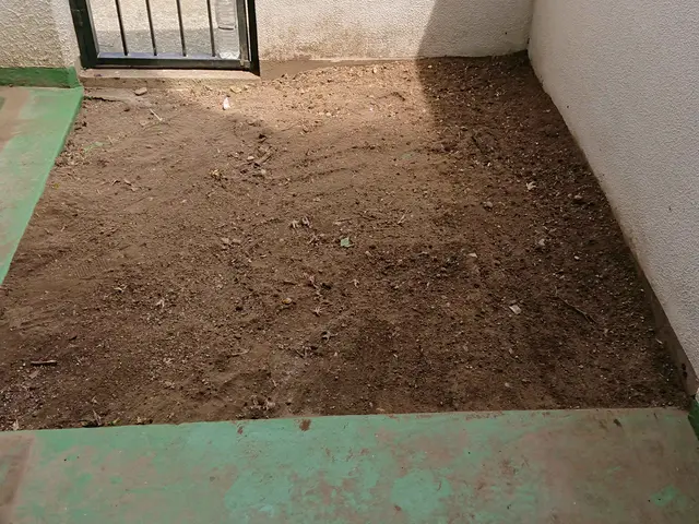 ＜１級造園技能士＞損害保険加入済み！対応地域外もご相談可能！女性スタッフ同行可◎サービスの画像