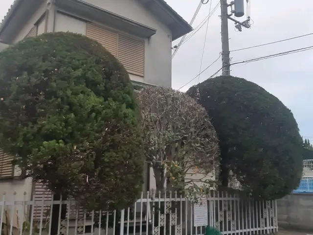 創業200年を越える老舗で10年以上修行をした店主！サービスの画像