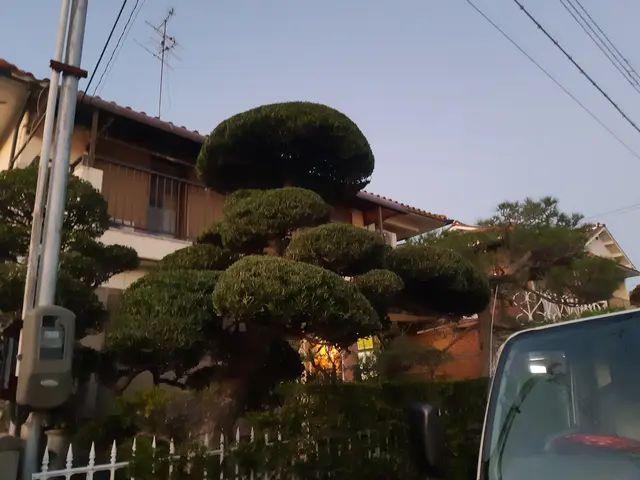 創業200年を越える老舗で10年以上修行をした店主！サービスの画像