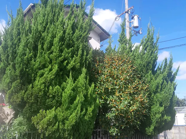 創業200年を越える老舗で10年以上修行をした店主！サービスの画像