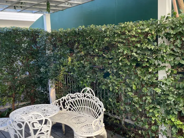 業界歴30年以上！穏やかな職人が近隣への配慮も怠らず一貫して丁寧に仕上げますサービスの画像