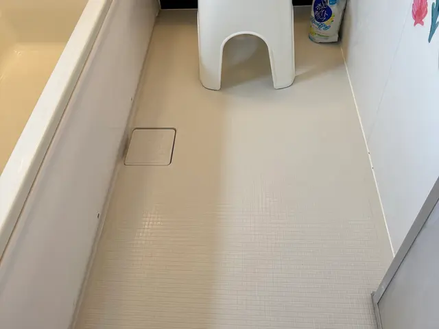 「水アカ・カビを除去！」年末お掃除前セール通常より3000円お安くなっておりますサービスの画像