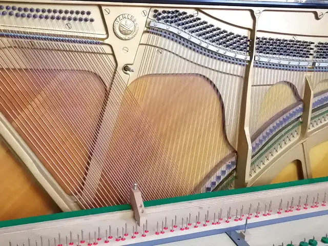 【元小中高学校の音楽教師】ピアノ調律のご相談を承ります！サービスの画像