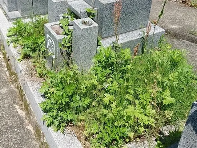 《100%自社対応》業界歴10年◆年間300件以上の安心実績！年中無休営業◎サービスの画像