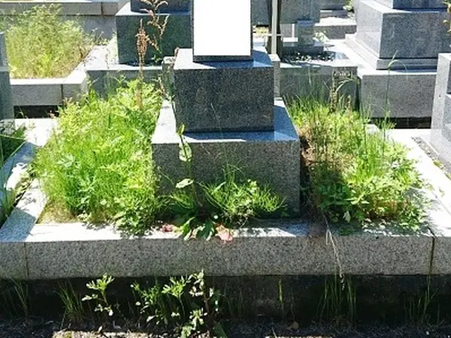 《100%自社対応》業界歴10年◆年間300件以上の安心実績！年中無休営業◎サービスの画像