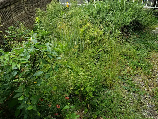 猛暑の前にお手入れを◎安心、丁寧、親切をモットーに作業致しますサービスの画像