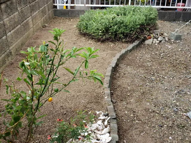 猛暑の前にお手入れを◎安心、丁寧、親切をモットーに作業致しますサービスの画像