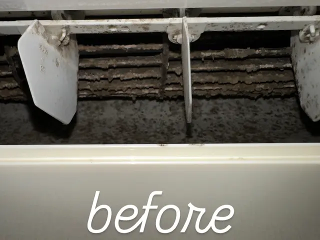 『複数台割引あり』2000件の信頼★安心の損害保険加入済み◉汚れを徹底的に除去☆サービスの画像