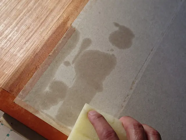 障子紙の貼り替えお任せ下さい！新しい障子紙でお部屋も明るく気持ちいい☆サービスの画像