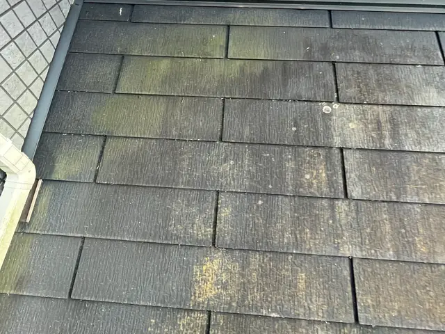 『お財布、環境に優しい』『出店セール』！【店長訪問】追加料金なし　★雨樋も無料塗サービスの画像