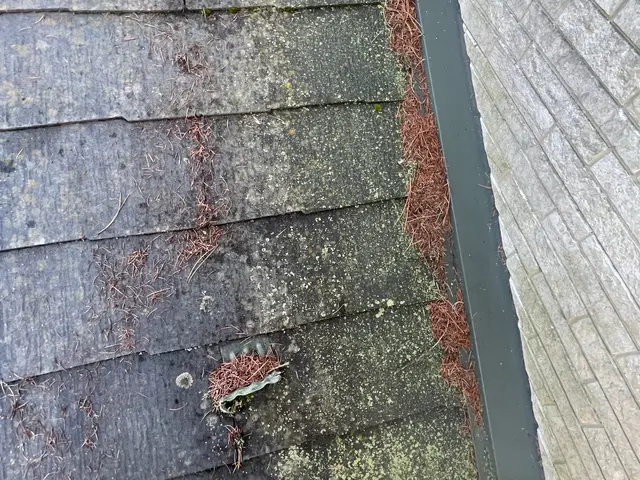 『お財布、環境に優しい』『出店セール』！【店長訪問】追加料金なし　★雨樋も無料塗サービスの画像