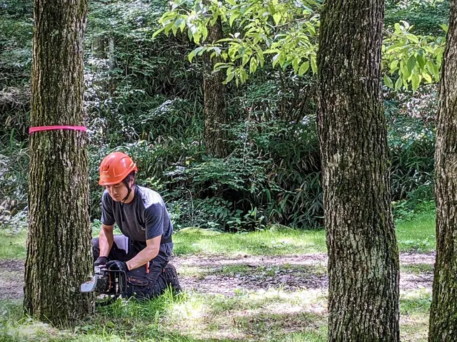 小諸市発　無料御見積り可☆小さなご相談もお気軽に☆損害保険加入済みサービスの画像