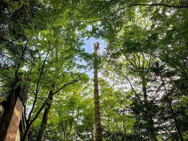 小諸市発　無料御見積り可☆小さなご相談もお気軽に☆損害保険加入済みサービスの画像