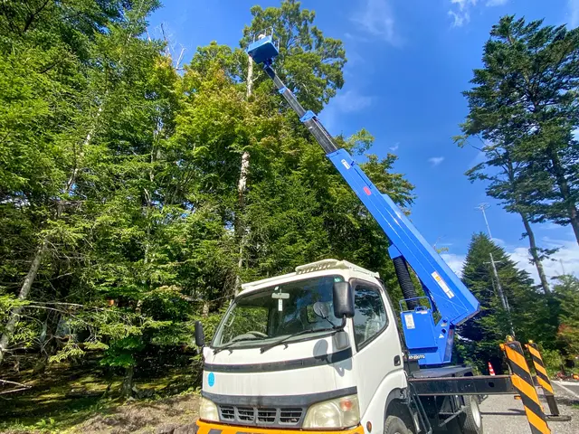 小諸市発　無料御見積り可☆小さなご相談もお気軽に☆損害保険加入済みサービスの画像