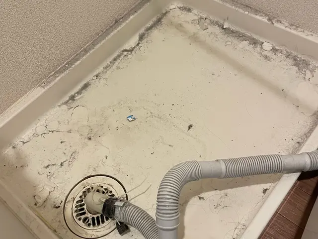 赤ちゃんの衣類も安心。清潔な洗濯槽に。日立ビートウォッシュも追加料金なし！サービスの画像