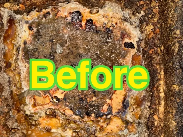 【1時間以内に必ず返信！】元調理師学校講師のプロがまごころ込めて、ていねい対応！サービスの画像