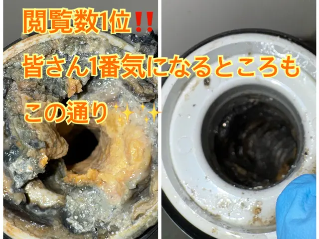 【★5率No.1】元調理師学校講師が室内&外まわり排水管全てを、徹底洗浄します！サービスの画像