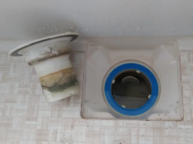 ★セットで、お得★お風呂も～台所も、ピッカピカ～で気分リフレッシュ！！！サービスの画像