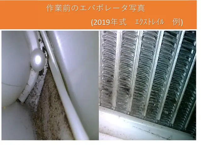 【カビ・細菌・ホコリの隠れ家をカメラで見ながら高圧洗浄】専業／月間平均50台施工サービスの画像