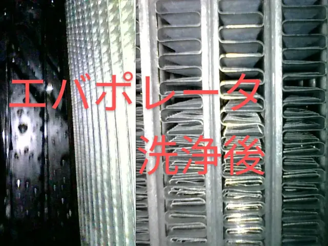 【カビ・細菌・ホコリの隠れ家をカメラで見ながら高圧洗浄】専業／月間平均50台施工サービスの画像