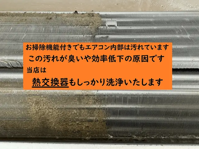 【完全分解対応】咳・くしゃみ・目が痒いはカビが原因かも？徹底洗浄で体調改善を◎サービスの画像