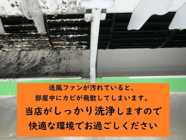 【完全分解対応】咳・くしゃみ・目が痒いはカビが原因かも？徹底洗浄で体調改善を◎サービスの画像