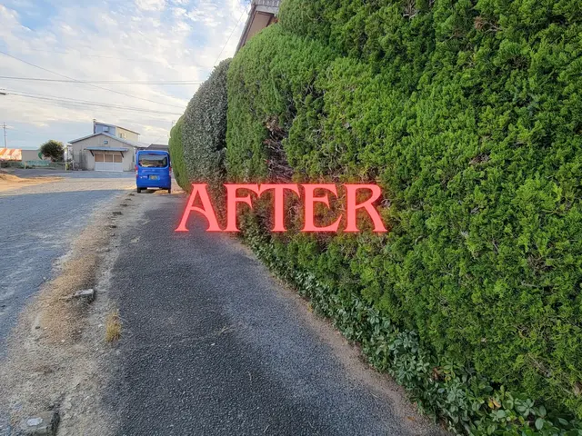 【岡山市東区発！】庭木を整えることで心も整いますよ(^-^)vサービスの画像