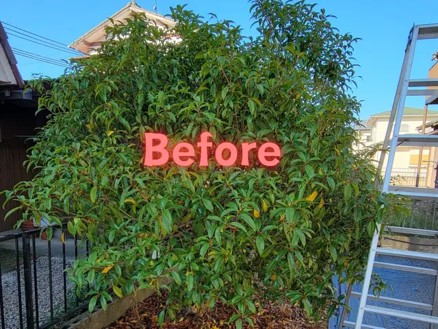 【岡山市東区発！】庭木を整えることで心も整いますよ(^-^)vサービスの画像