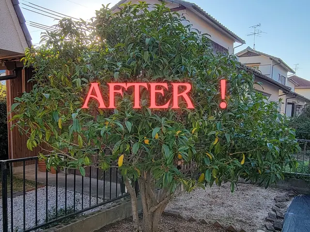 【岡山市東区発！】庭木を整えることで心も整いますよ(^-^)vサービスの画像