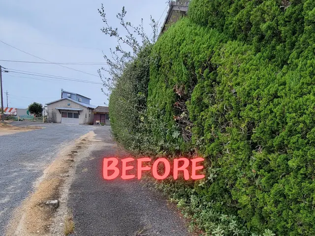 【岡山市東区発！】庭木を整えることで心も整いますよ(^-^)vサービスの画像