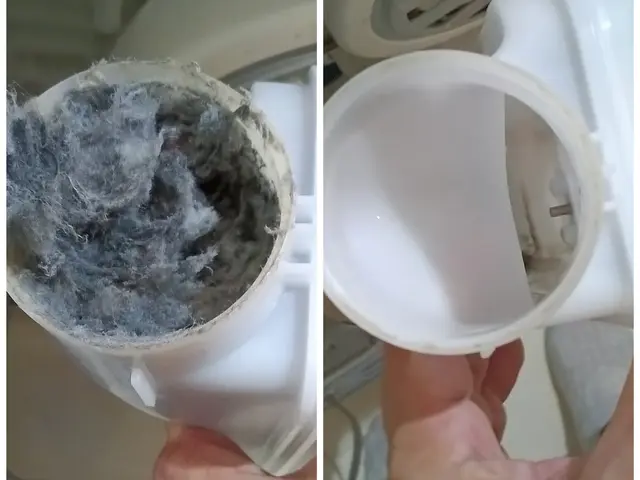 【そうじ屋くま】11年の実績＋損害保険完備。安心して任せられるプロの技。サービスの画像