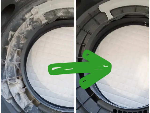 【そうじ屋くま】11年の実績＋損害保険完備。安心して任せられるプロの技。サービスの画像