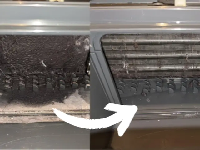 【そうじ屋くま】11年の実績＋損害保険完備。安心して任せられるプロの技。サービスの画像