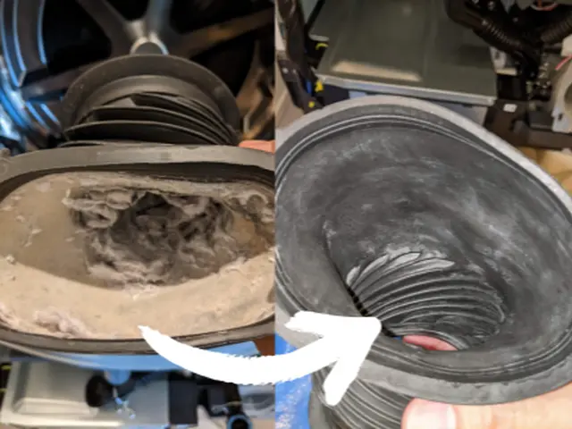 【そうじ屋くま】11年の実績＋損害保険完備。安心して任せられるプロの技。サービスの画像