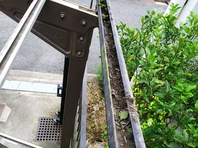 波板張替え、カーポートポリカ板張替え、テラスポリカ板張替えサービスの画像